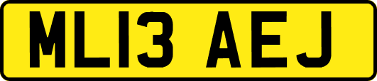 ML13AEJ