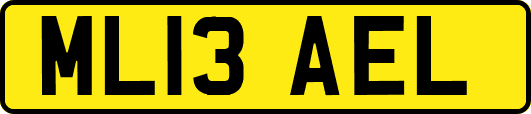 ML13AEL