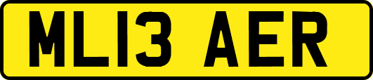 ML13AER