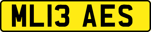 ML13AES