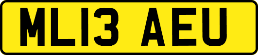 ML13AEU