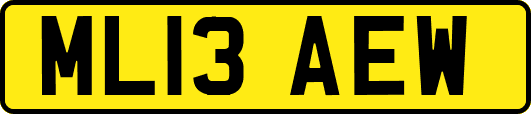 ML13AEW