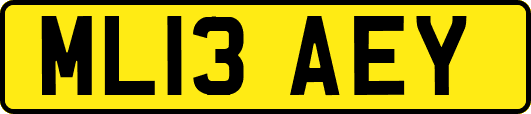 ML13AEY