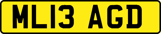 ML13AGD