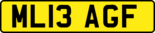 ML13AGF