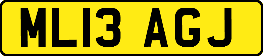 ML13AGJ