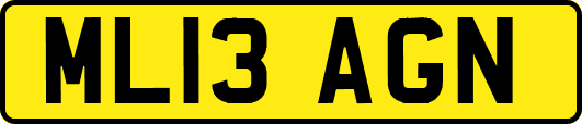 ML13AGN