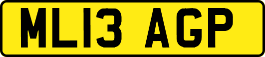 ML13AGP