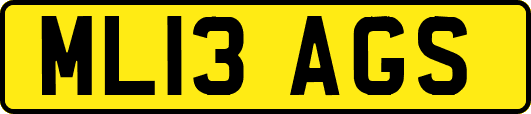 ML13AGS