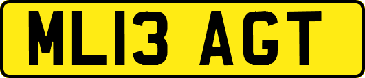 ML13AGT
