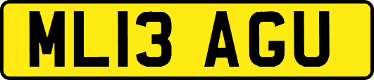 ML13AGU