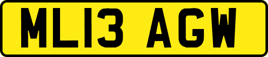 ML13AGW