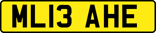 ML13AHE