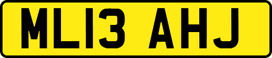 ML13AHJ