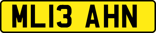 ML13AHN