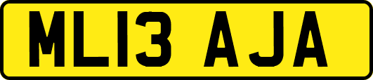 ML13AJA