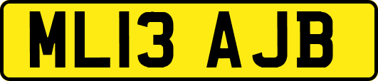 ML13AJB