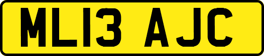 ML13AJC