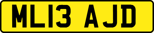 ML13AJD