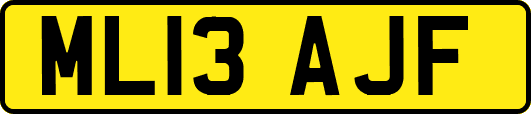 ML13AJF