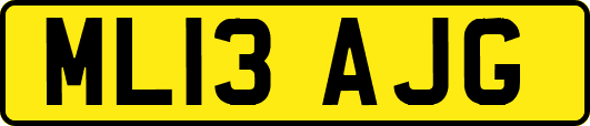 ML13AJG