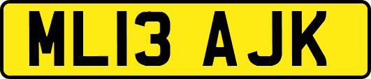 ML13AJK
