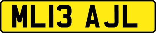ML13AJL