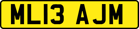 ML13AJM
