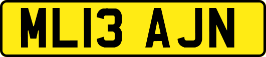 ML13AJN