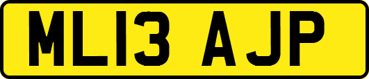 ML13AJP