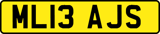 ML13AJS