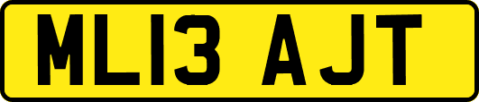 ML13AJT