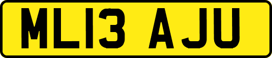 ML13AJU