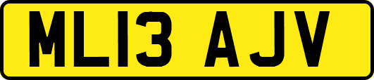 ML13AJV
