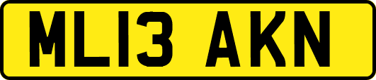 ML13AKN