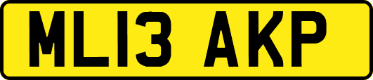 ML13AKP