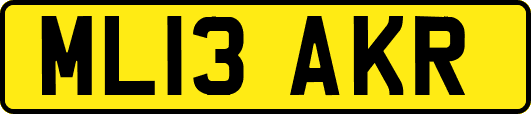 ML13AKR
