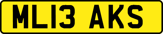 ML13AKS