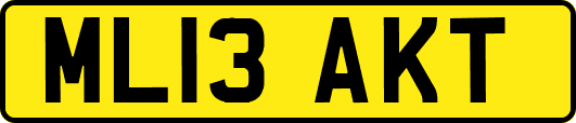 ML13AKT