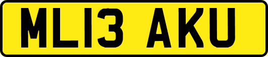 ML13AKU