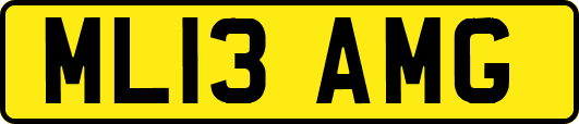 ML13AMG