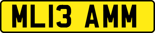 ML13AMM