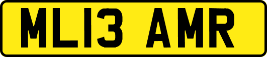 ML13AMR