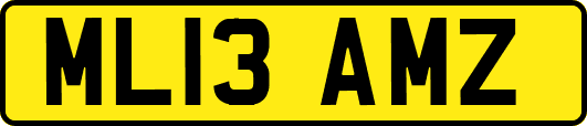 ML13AMZ
