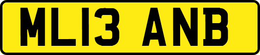ML13ANB