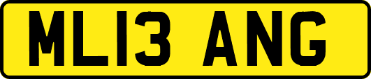 ML13ANG