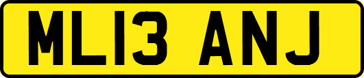 ML13ANJ