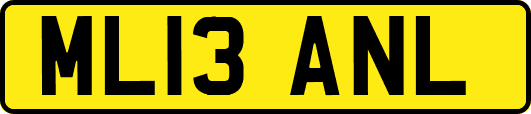 ML13ANL