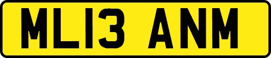 ML13ANM