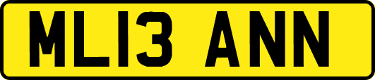 ML13ANN